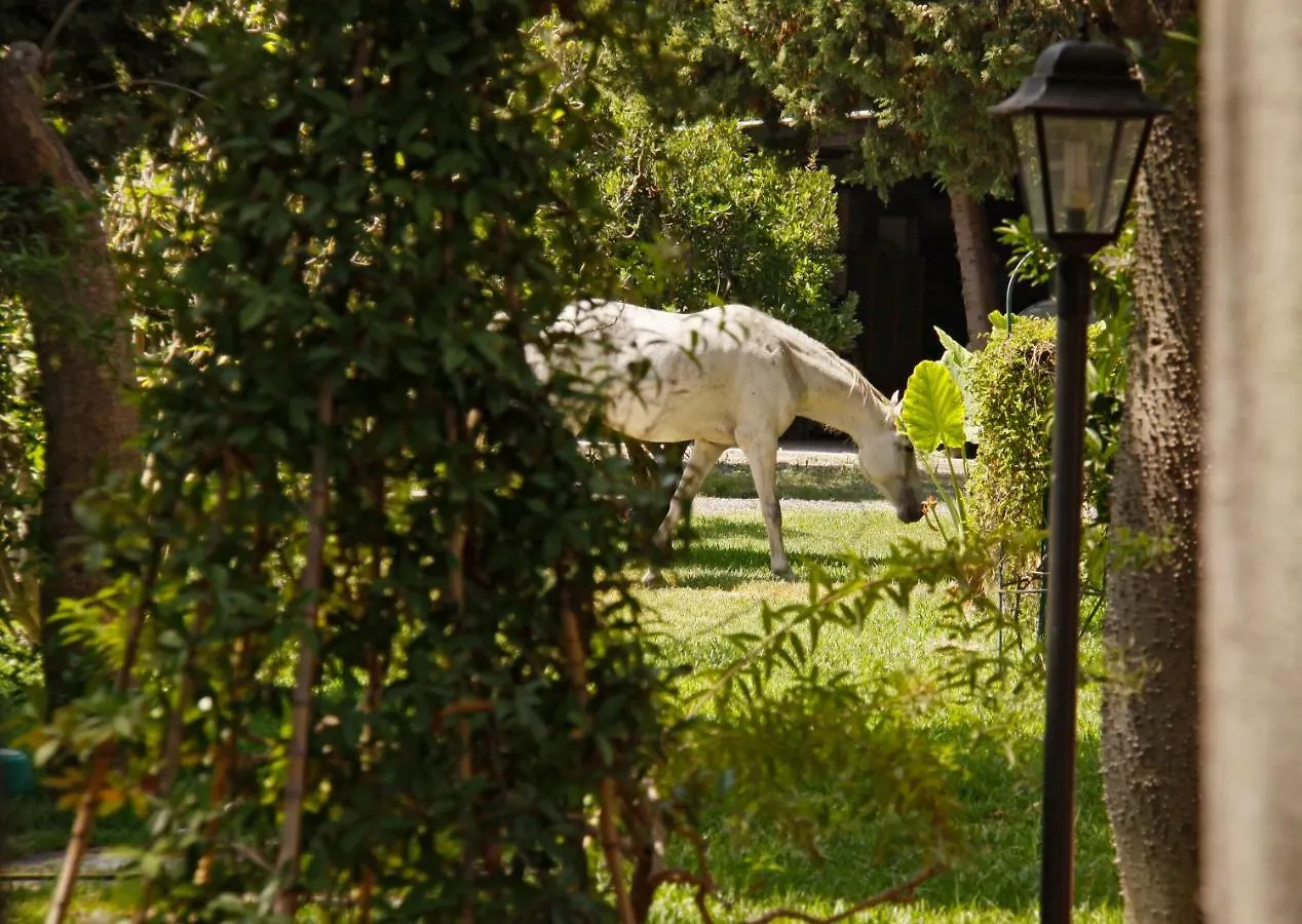 B&B La Villa Giardini Naxos